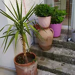 Nano Hotel *